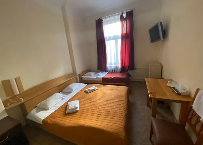 Viktorija With Private 旅馆 里加